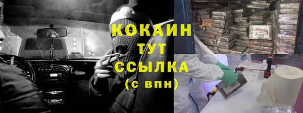 сатива Арсеньев