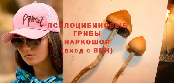 амф Армянск