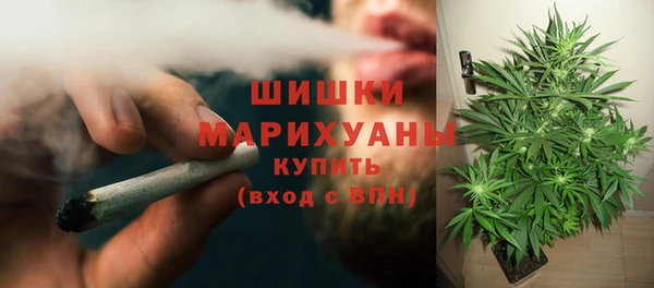 тгк Аркадак