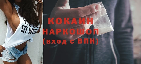 сатива Арсеньев