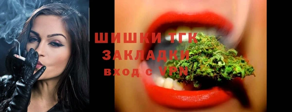 сатива Арсеньев